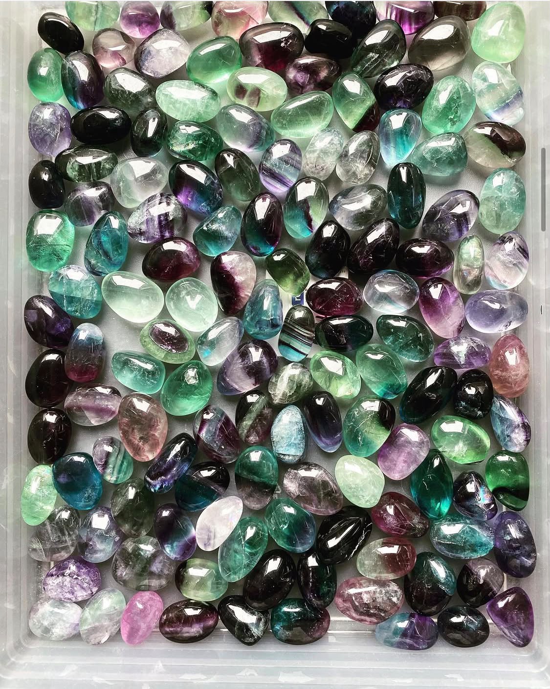 Impression from our collection